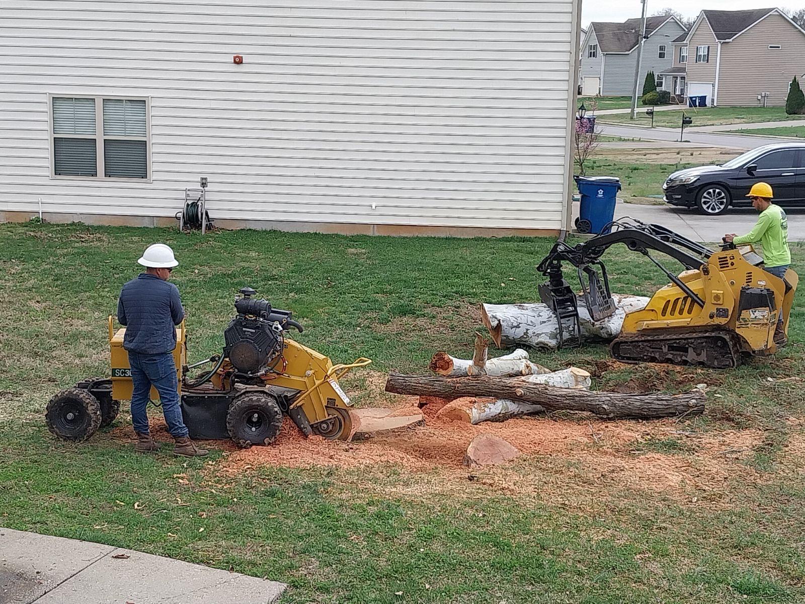 Stump Grinding